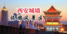 美女黑丝搞鸡中国陕西-西安城墙旅游风景区